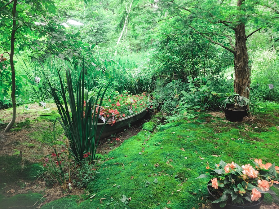Residential garden redesign